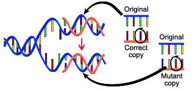 mutación DNA cáncer