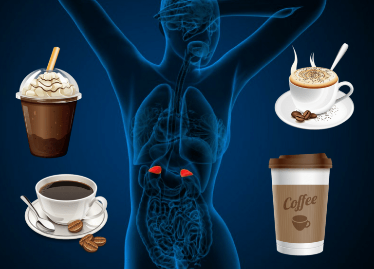 Efectos del café en el cuerpo | Dra.Carlota Esteve de Miguel