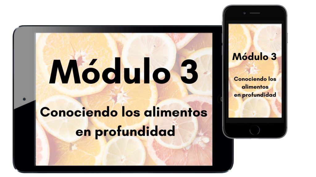 Módulo 1