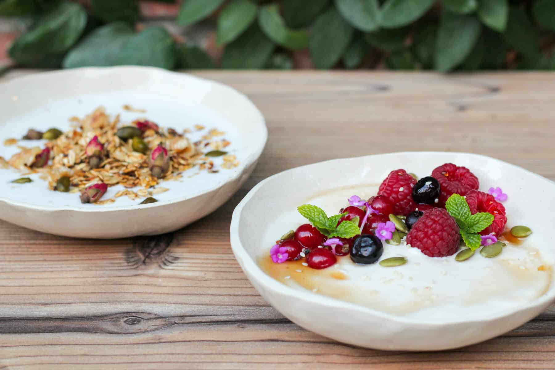 dos boles de yogur con frutos rojos y granola