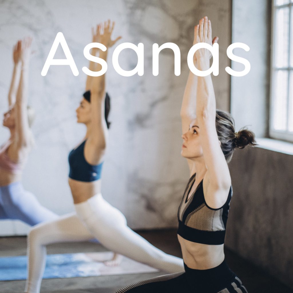 clases de yoga online4
